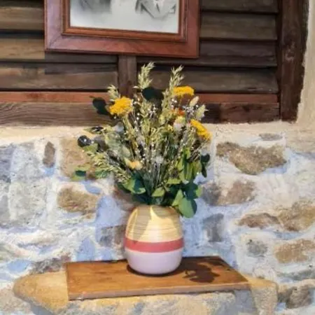 Apartment Casa Guanajuato *